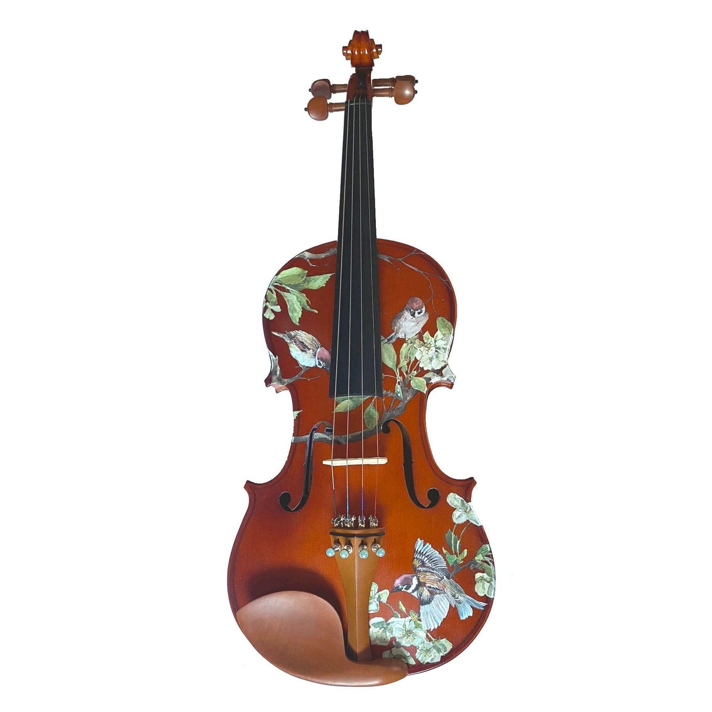 Rozanna's Song Bird Violin Outfit w/ Brazilwood Bow, Case, Crystal