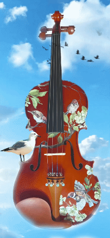 Rozanna's Song Bird Violin Outfit w/ Brazilwood Bow, Case, Crystal