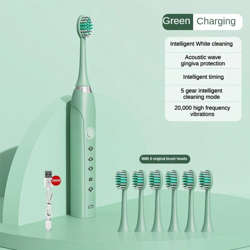 Sonic Electric Toothbrush IPX7 Waterproof Dupont Soft Bristles USB