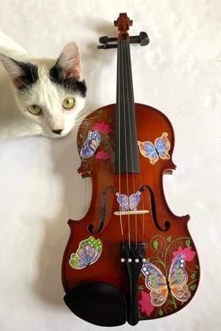 Rozanna's Butterfly Dream Viola Outfit w Bow Case Crystal Fine Tuners